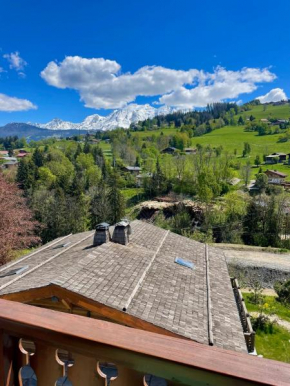 Appartement chaleureux résidence calme Combloux